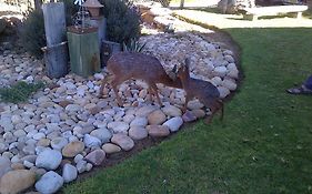Grysbok Self Catering Accommodation